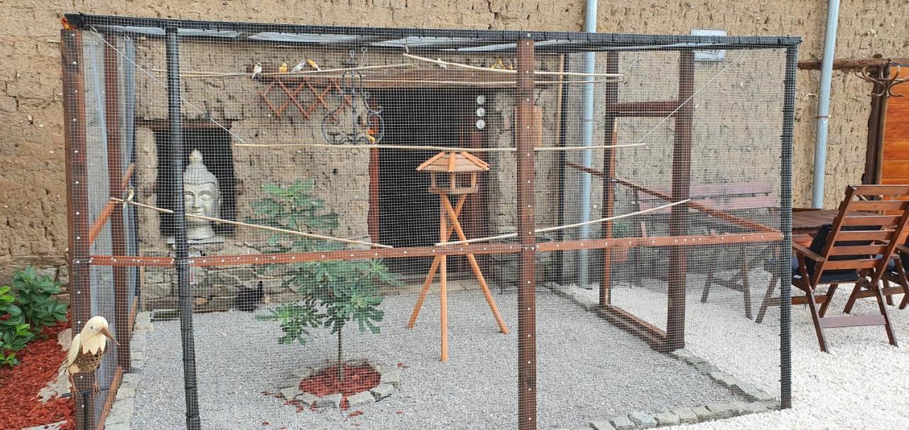 Guest House Eolea Biser Εξωτερικό φωτογραφία